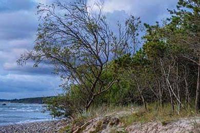 PSG.LGD选手伤病恢复良好，psg lgd是哪个国家的战队