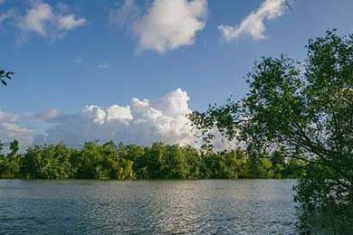 PSG.LGD选手伤病恢复良好，psg lgd是哪个国家的战队