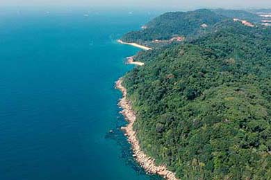 中国篮球国际合作新举措揭晓，拓宽交流平台，篮球联赛中国